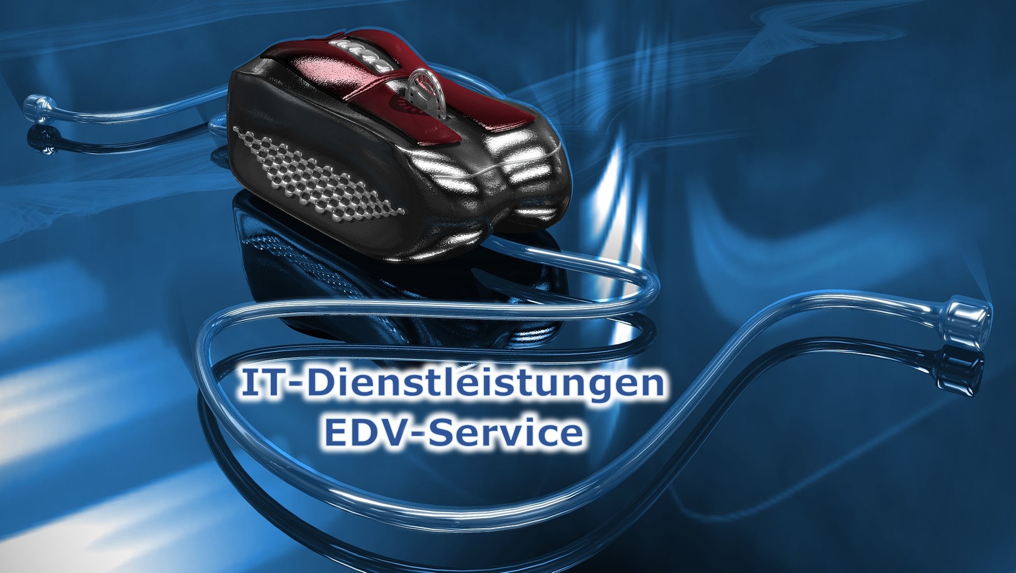 EDV Service